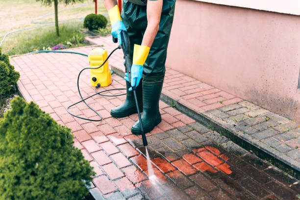 Best Driveway Pressure Washing  in Flemington, PA